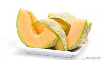 幼儿园吃哈密瓜视频模板,宝贝们共享甜蜜哈密瓜