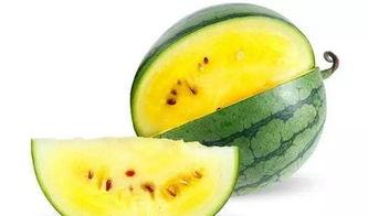 田瓜可以当贡品吃吗视频,探寻古代贡品中的美食传奇