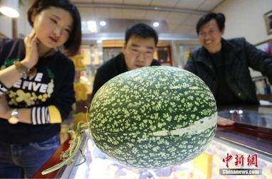 黑瓜吃料网张津瑜视频,一场视觉盛宴背后的故事