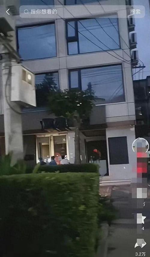 项城落地窗视频吃瓜,一场视觉盛宴的揭秘之旅