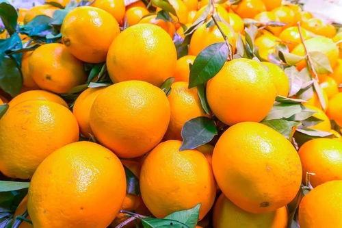 橙子吃瓜社完整视频,揭秘热门事件背后的真相与笑料