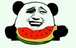 吃瓜是什么视频,揭秘“吃瓜群众”背后的热门视频现象