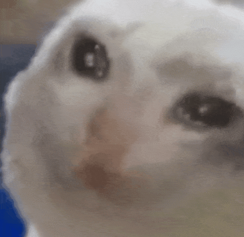 吃瓜视频老哥,带你领略网络红人的魅力与争议