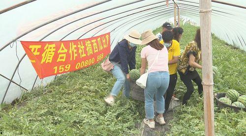 东湖公园吃瓜群众事件视频,一场网络热议的围观与反思