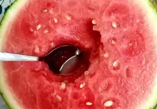 怎么用勺子吃哈密瓜视频