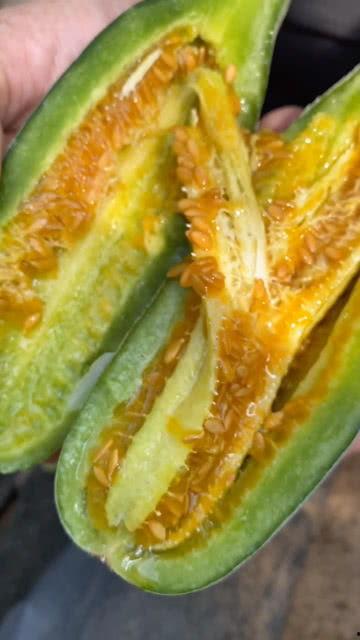 吃瓜黄视频,网络热传背后的真相与反思