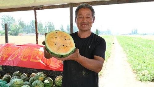 扬州最新吃瓜事件视频,揭秘网络热议背后的真相